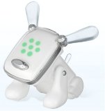 idog(AChbO)